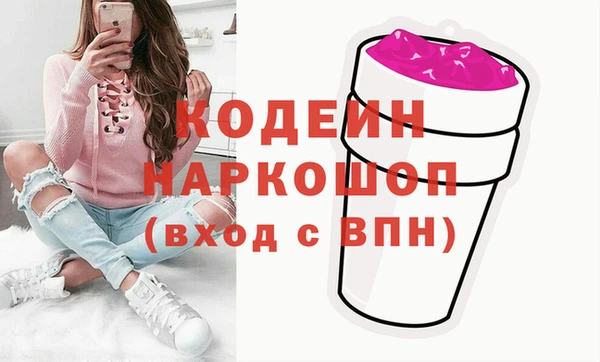 индика Алзамай
