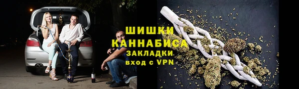 гидра Алексеевка