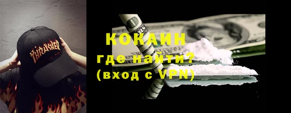 индика Алзамай