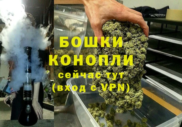 гидра Алексеевка
