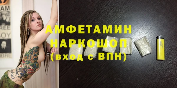 индика Алзамай