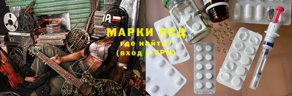 индика Алзамай