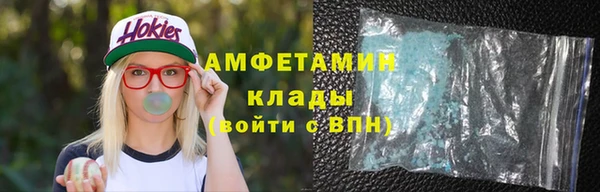 гидра Алексеевка