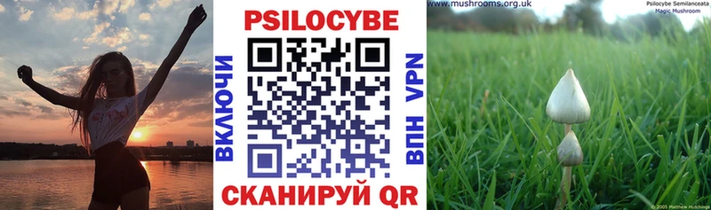 Галлюциногенные грибы мицелий  нарко площадка официальный сайт  Спасск-Рязанский  наркота 